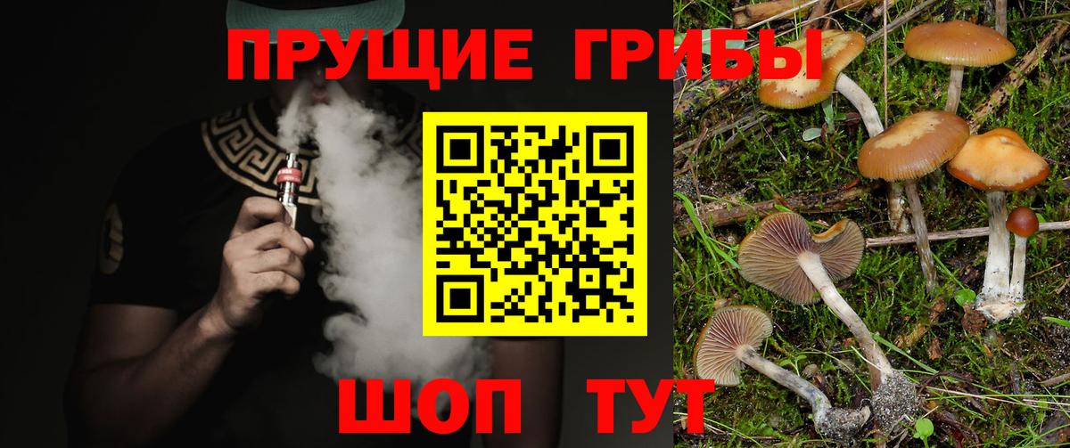Псилоцибиновые грибы Psilocybe  Вход с VPN  Сегежа 